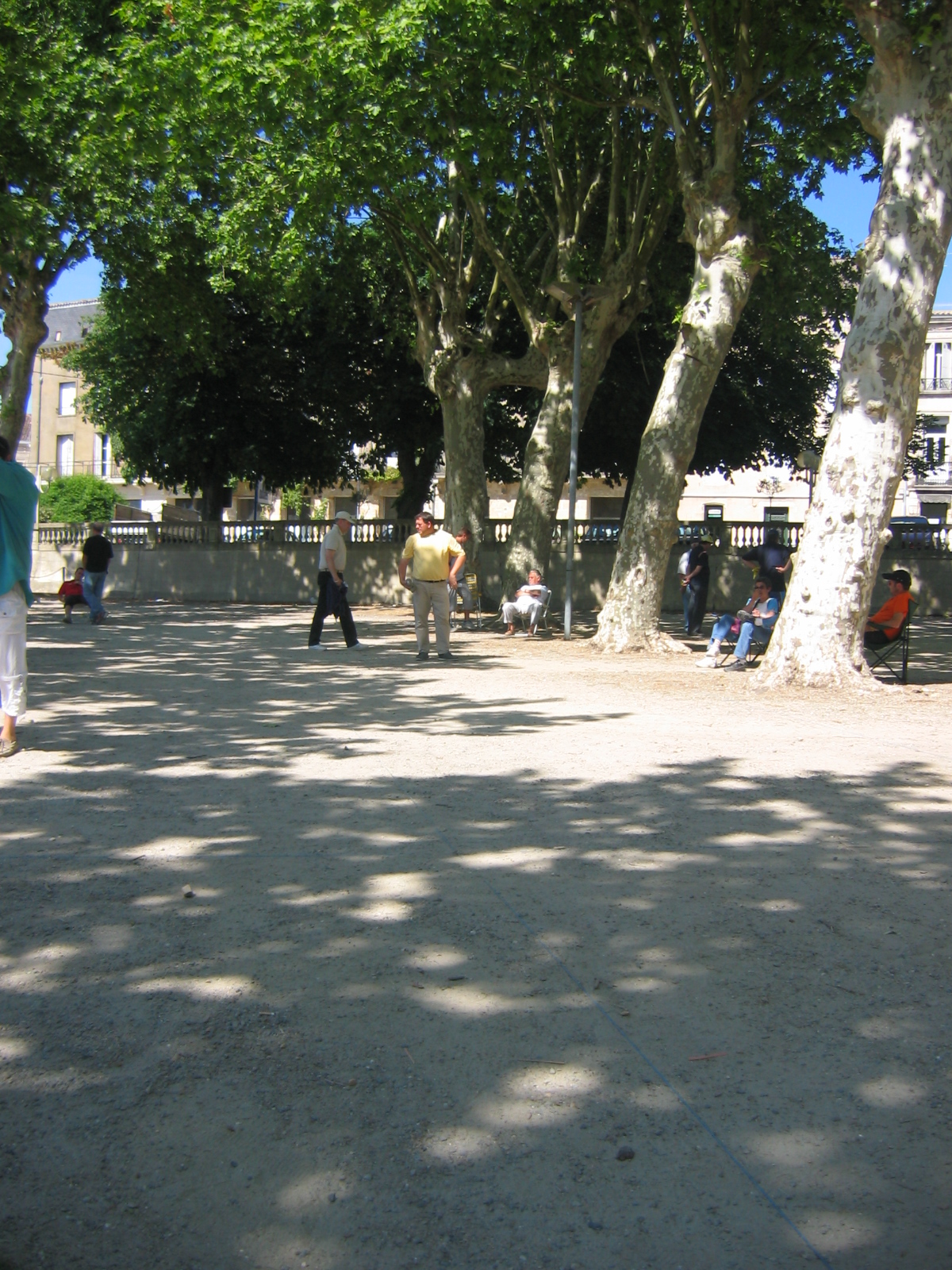 image allee marine