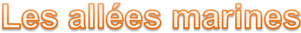 image titre